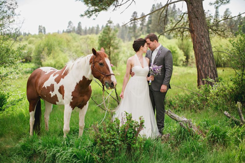 wedding horse
